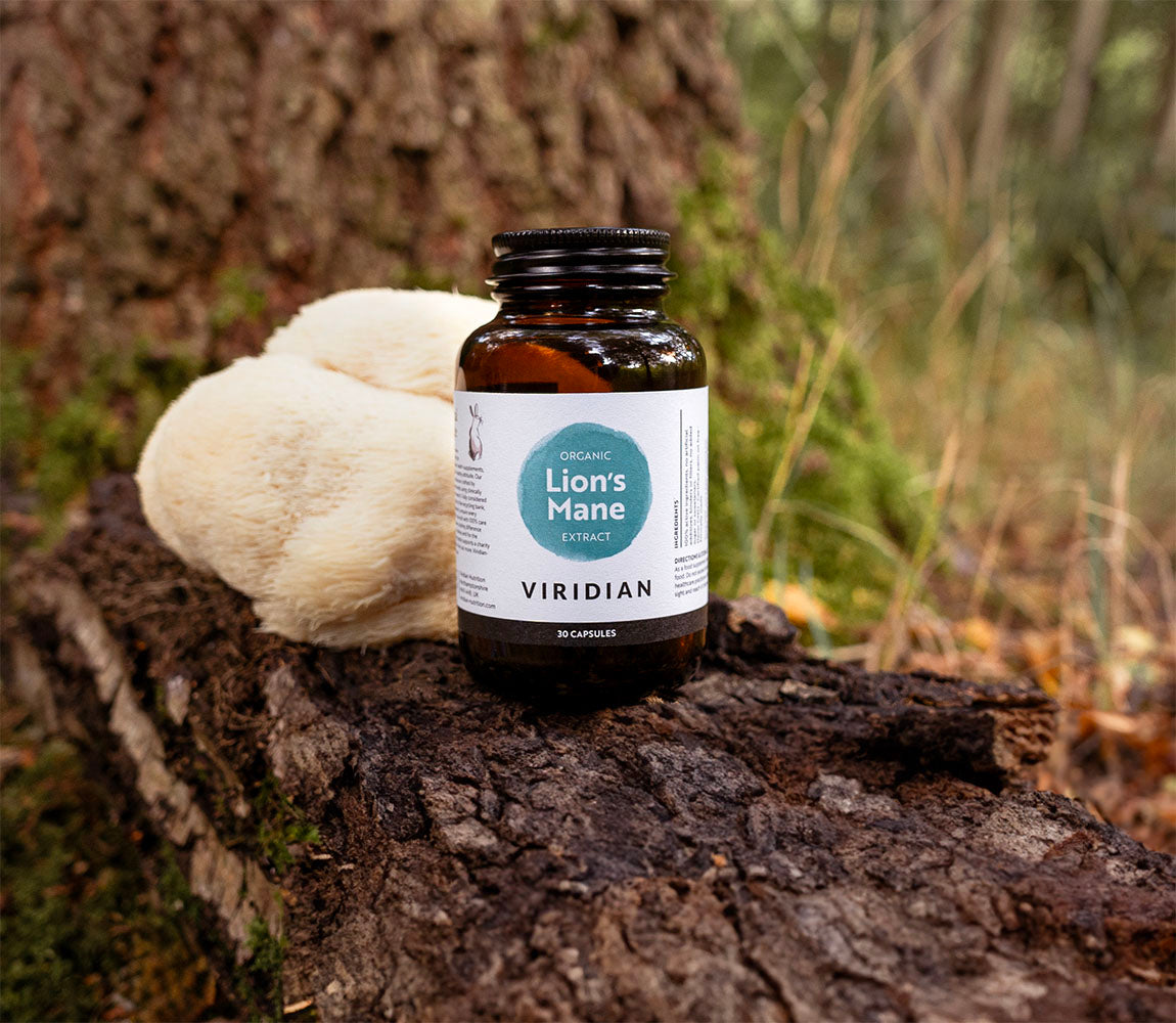 Organic Lion’s Mane - 30 Caps