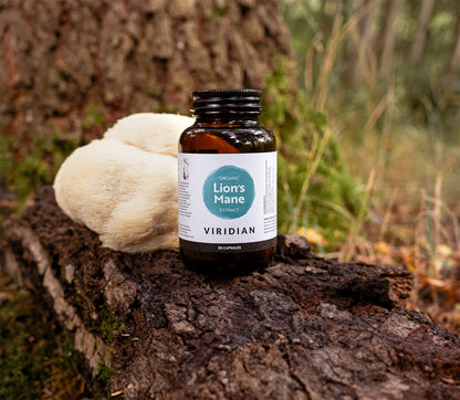 Organic Lion’s Mane - 30 Caps