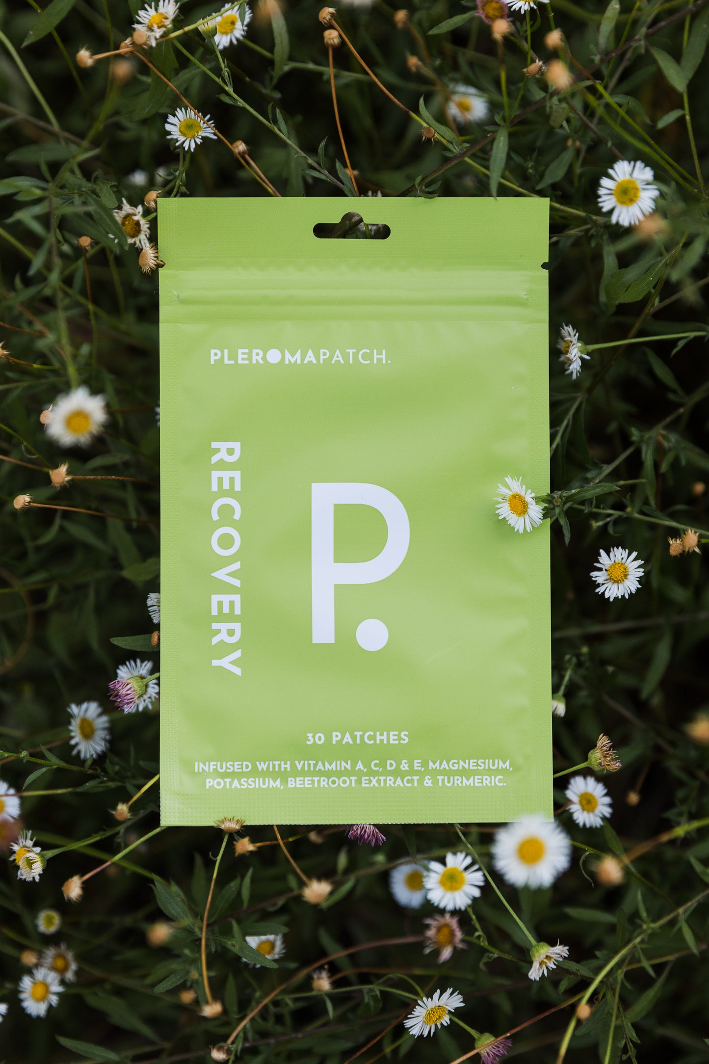 Recovery Patches- Pleroma patch